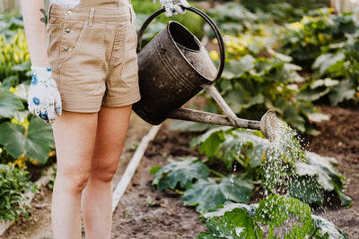 How to Make (and Use) Compost Tea
