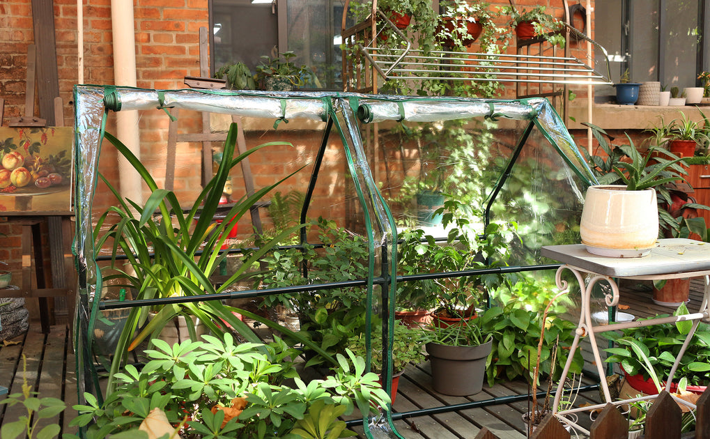 Garden Greenhouse – Gardzen