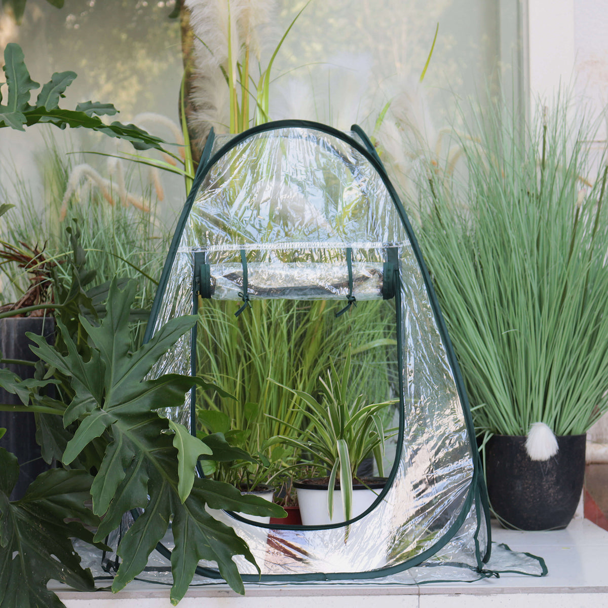 small greenhouse tent Gardzen Portable Pop Up Small Greenhouse