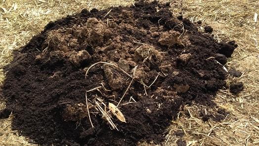 How and Why to Use Soil Amendments