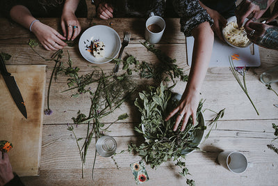 Starting an Herb Garden