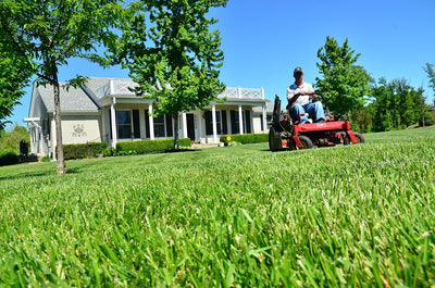 Lawn Care in Hot Weather
