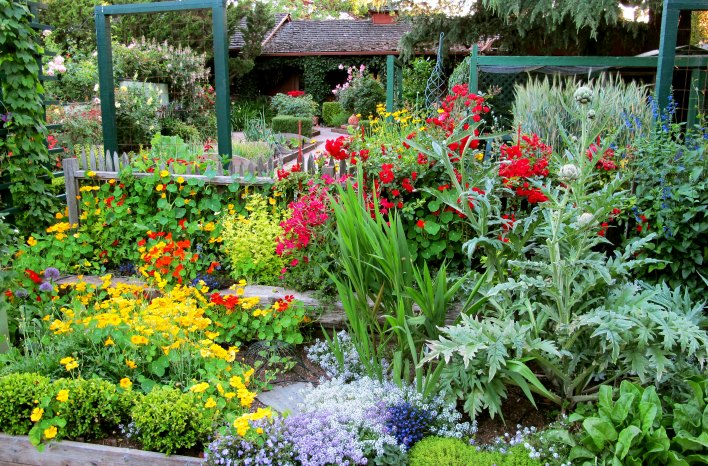 Spring Tips for Vegetable Garden Success