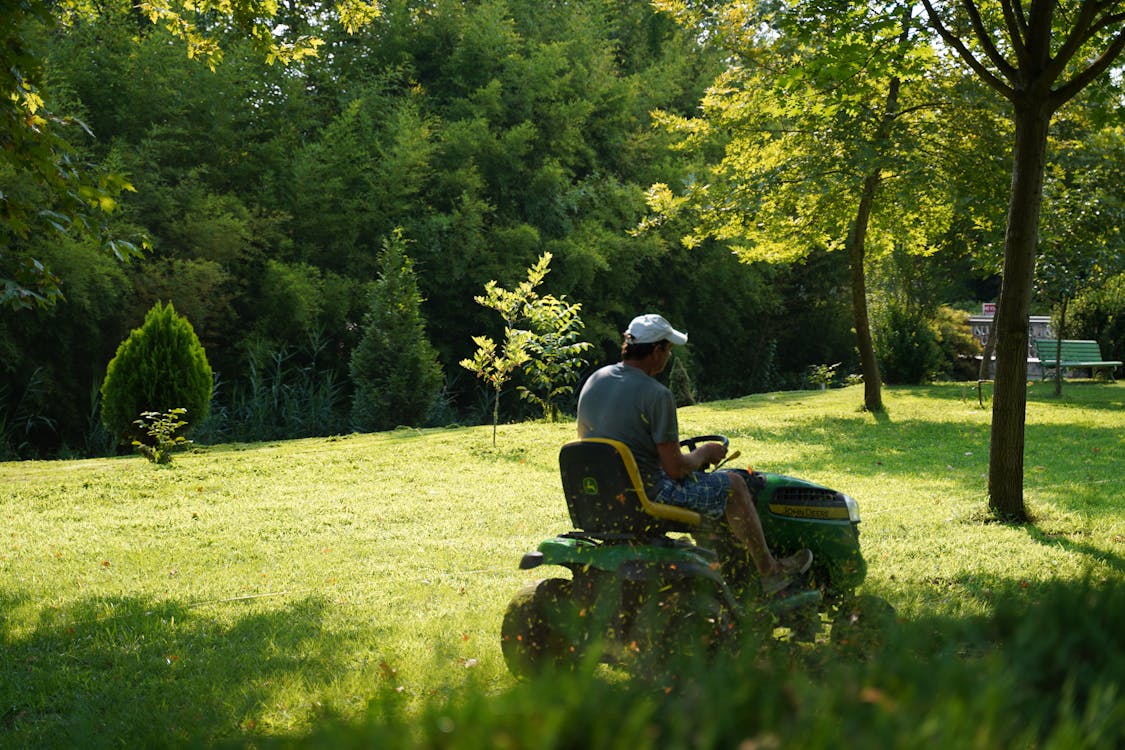 Lawn Mowing Service