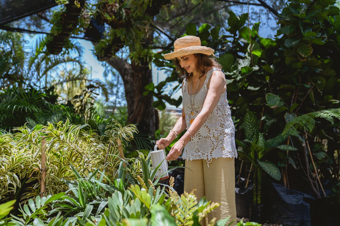 Gardening During—and After—a Heat Wave