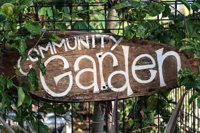 How to Start a Community Garden