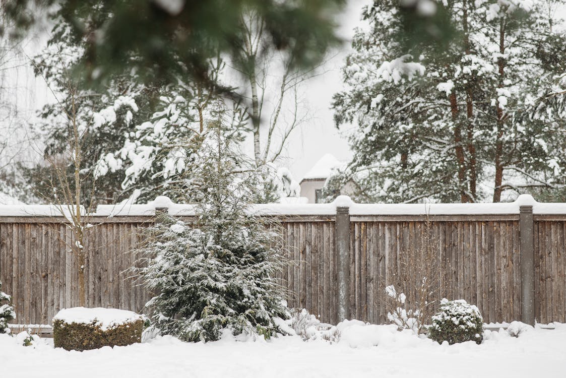 Is Snow Good for Your Garden?