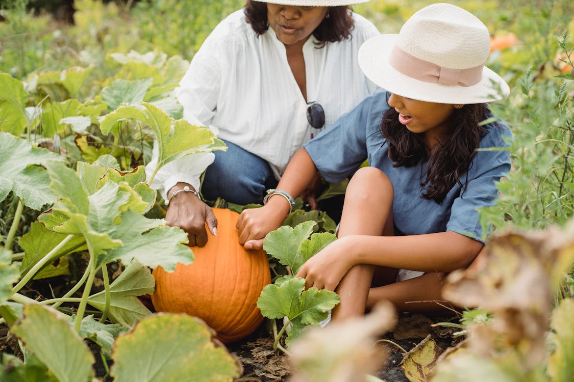 All About Pumpkins