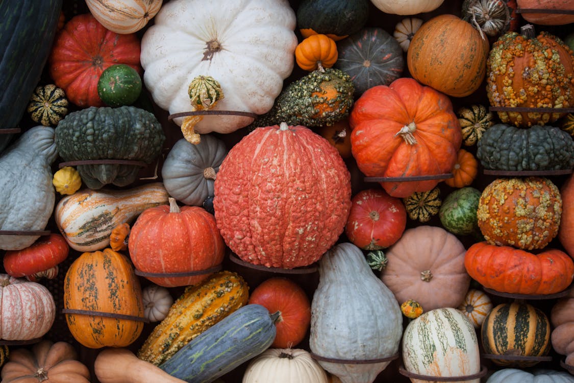 Thanksgiving Decorations for Gardeners