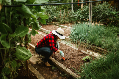 Sandwich Composting