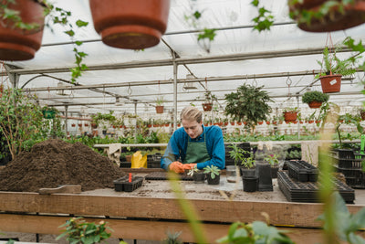 Potting Soil vs Container Mix: What’s the Difference?