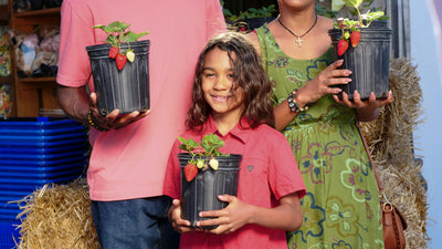 What are Garden Clubs? And Why You Might Want to Join One . . .