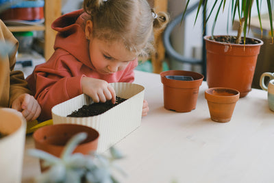 Drainage for Container Plants