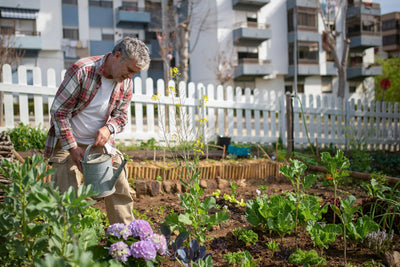What is Permaculture Gardening?