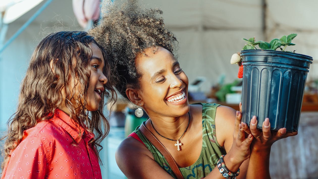 What is Guerrilla Gardening?