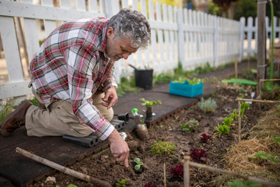 Making Gardening Easier For Your Knees (And Other Joints)