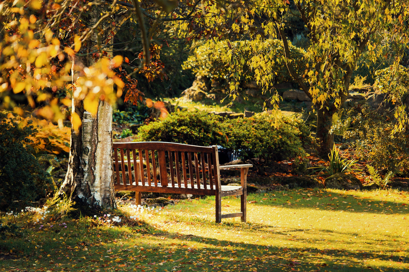Fall Gardening Tips, Tricks, and Tasks
