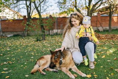 Pet Safety in Autumn