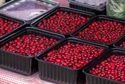 All About Cranberries