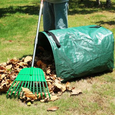 Let’s Look at “Leave the Leaves”
