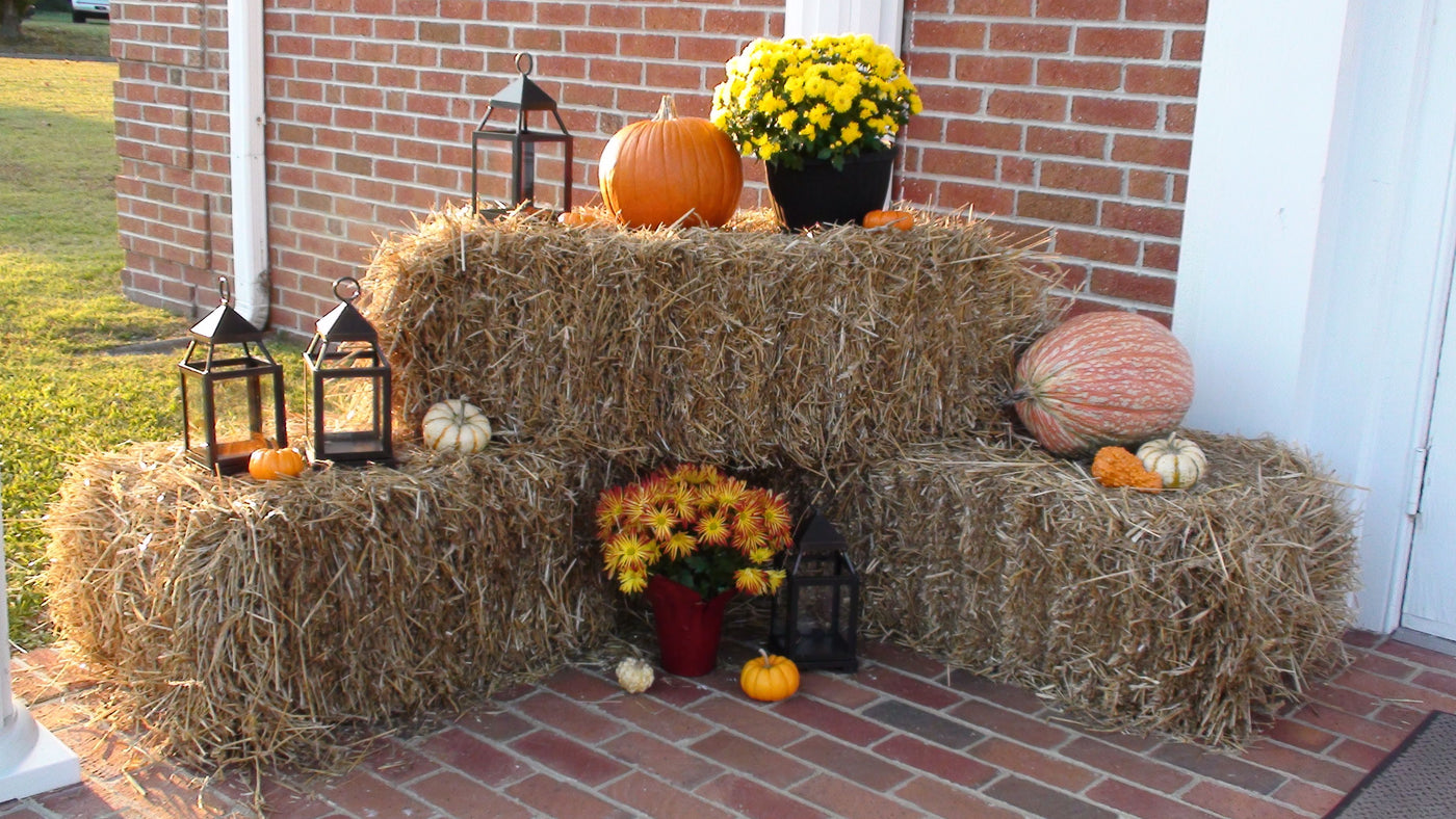 Fall Decor Ideas for Your Garden (and How You Can Reuse Them!)