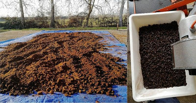 Using Coffee Grounds in Your Garden