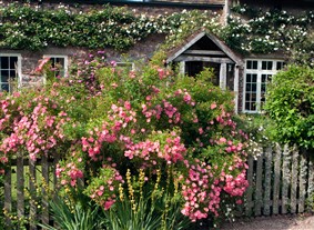 Creating an Enclosed Garden