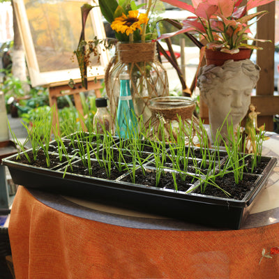 The Best Holiday Gift Ideas for Gardeners