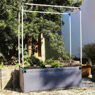 Gardening With Disabilities