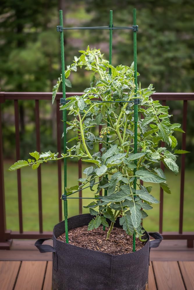 plants to grow on trellis Gardzen 3-Pack Triangle Plant Trellis