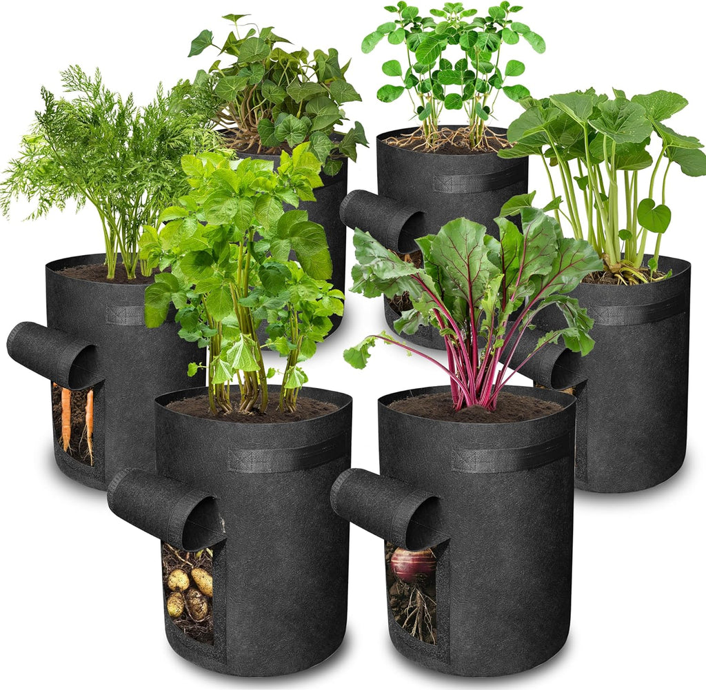 plant potatoes in grow bags Gardzen 6 Pack 10 Gallon Potato Grow Bags