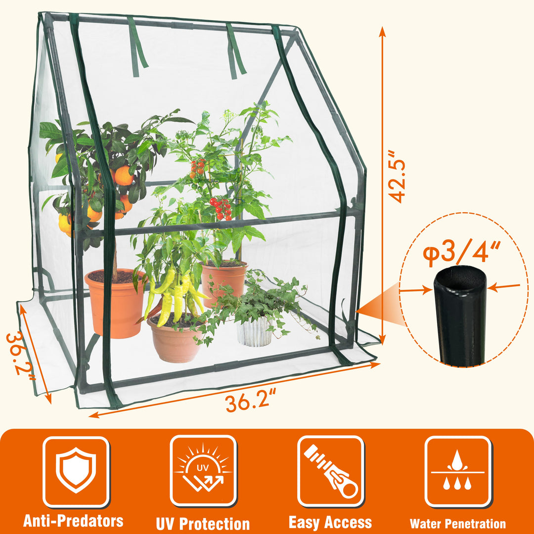 small_greenhouse_7095e4e2-d605