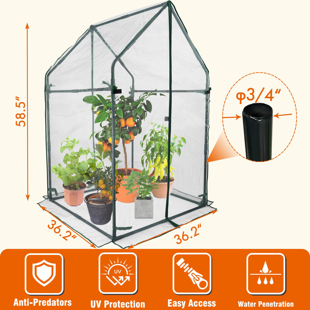 small_greenhouse_af6a4e49-3e8f