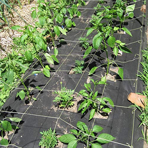 plant support trellis netting Gardzen Plant Trellis Netting