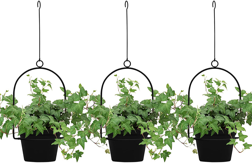 three pot hanging planter Gardzen 3 Packs Hanging Wall Planters