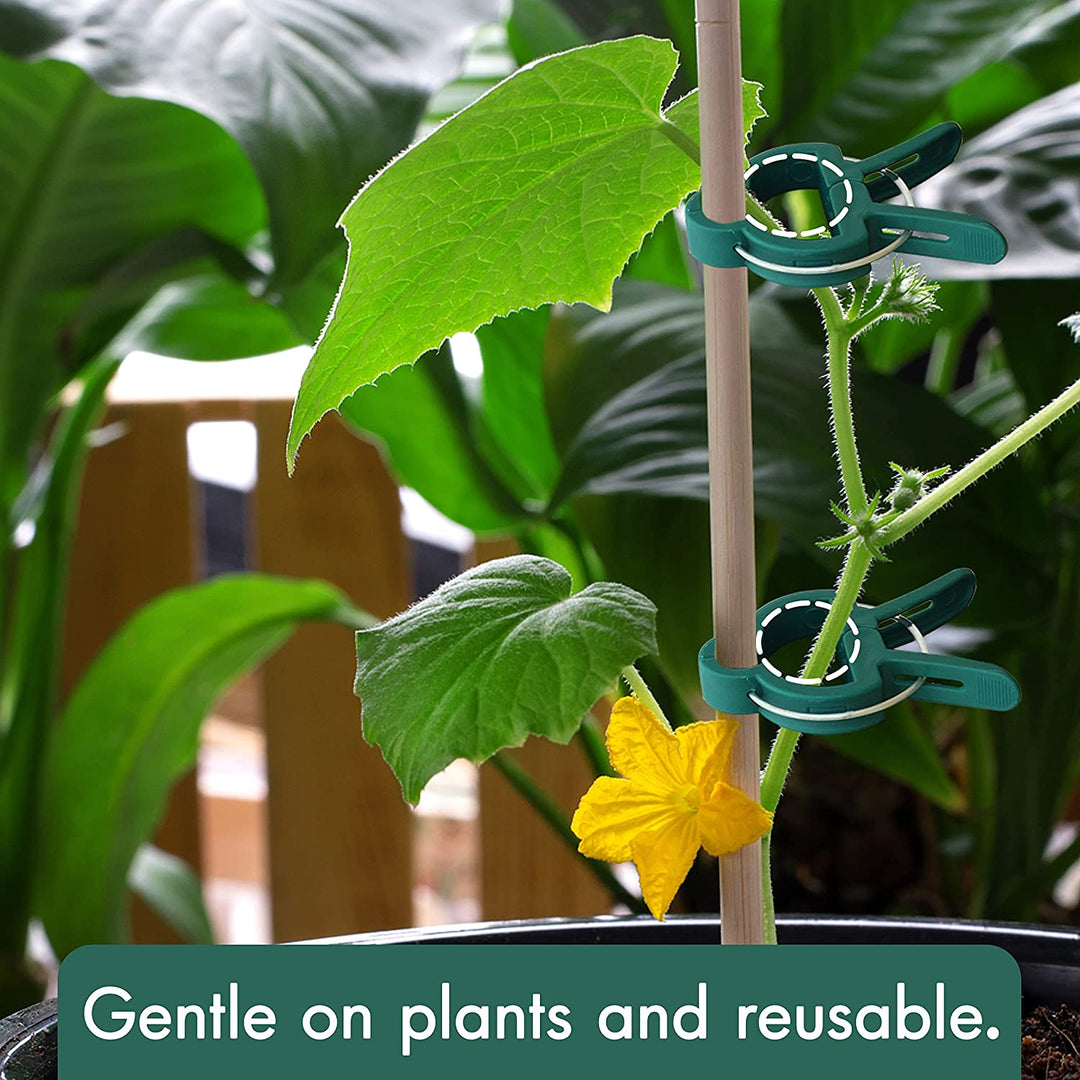 817wUdHkgpL._AC_SL1500_1080x.