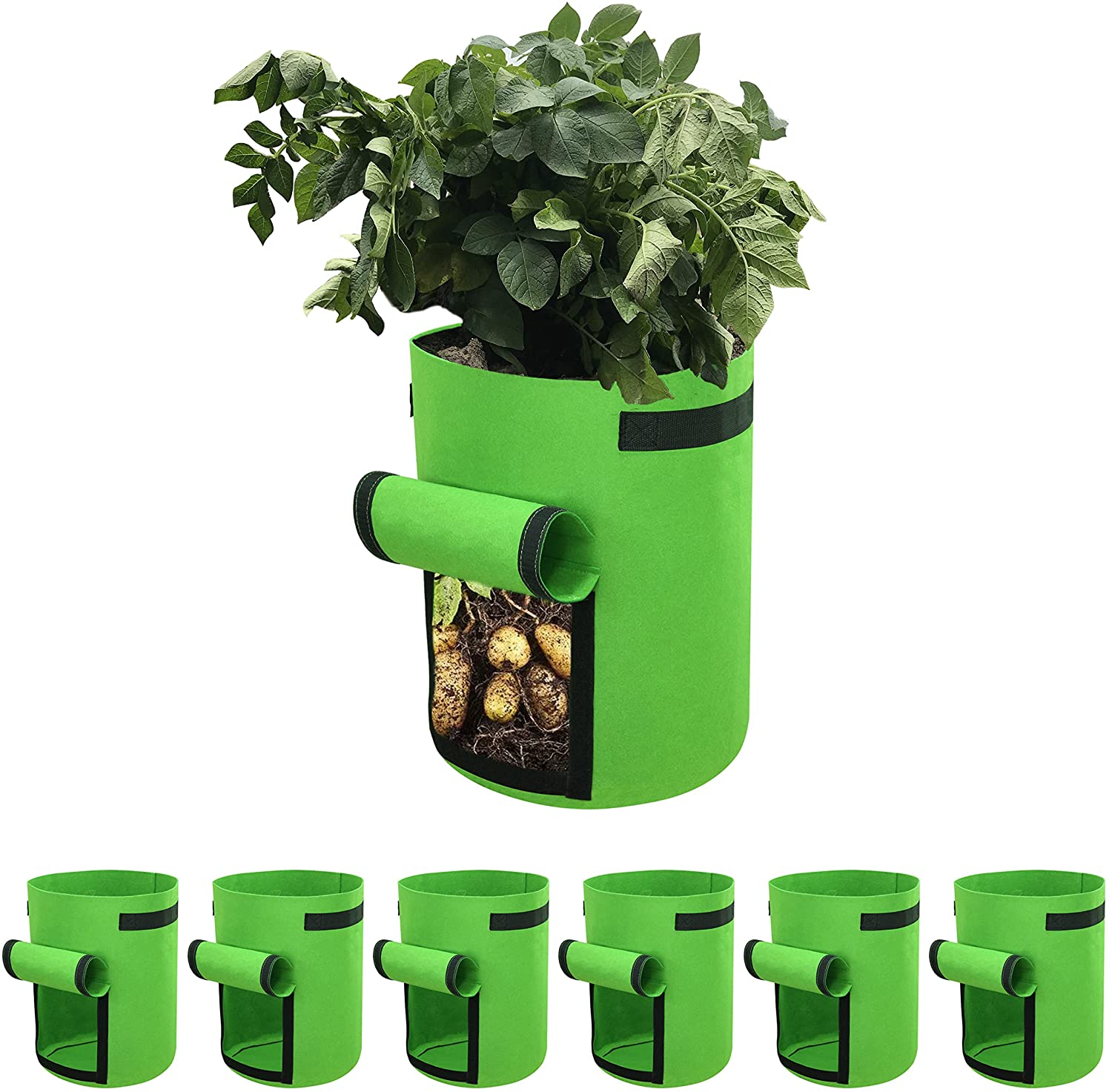 Smart Pot Planter For Vegetable 5 7 10 Gallon Biodegradable Fabric Potato  Plant Grow Bags  Smart Pot Planter For Vegetable 5 7 10 Gallon  Biodegradable Fabric Potato Plant Grow Bags Exporter Supplier Trading  Company Jinhua China