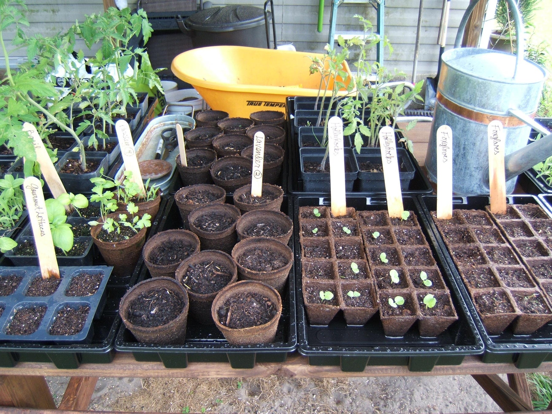 self watering trays for plants Gardzen Plant Trays Without Holes