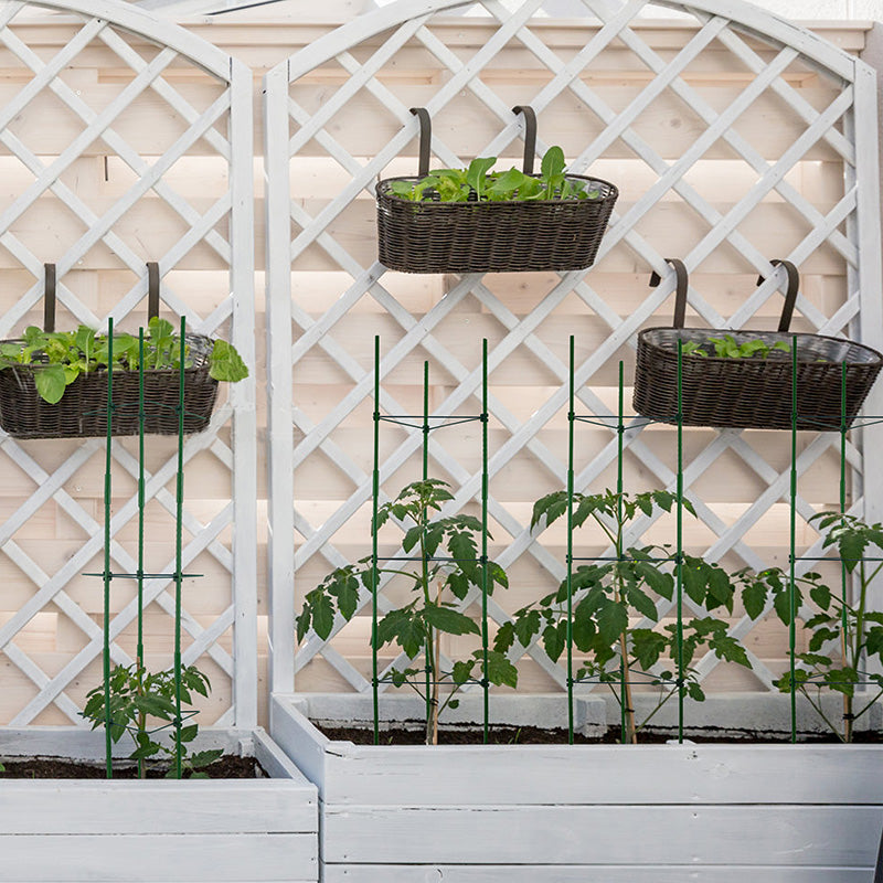 plant on trellis Gardzen 3-Pack Triangle Plant Trellis