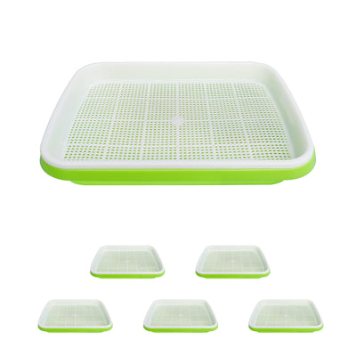 sprouting tray